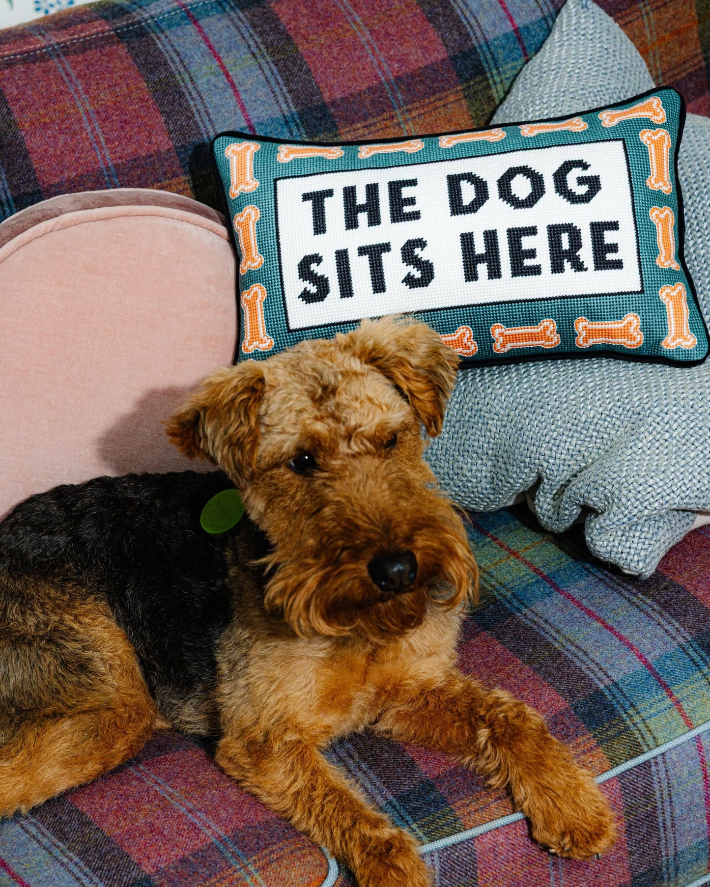 Dog Sits Here needlepoint pillow with a terrier