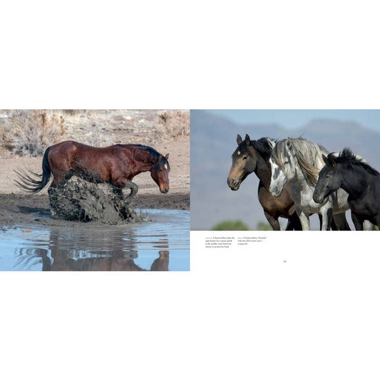 Load image into Gallery viewer, Wild Horses of the West : photography coffee table book
