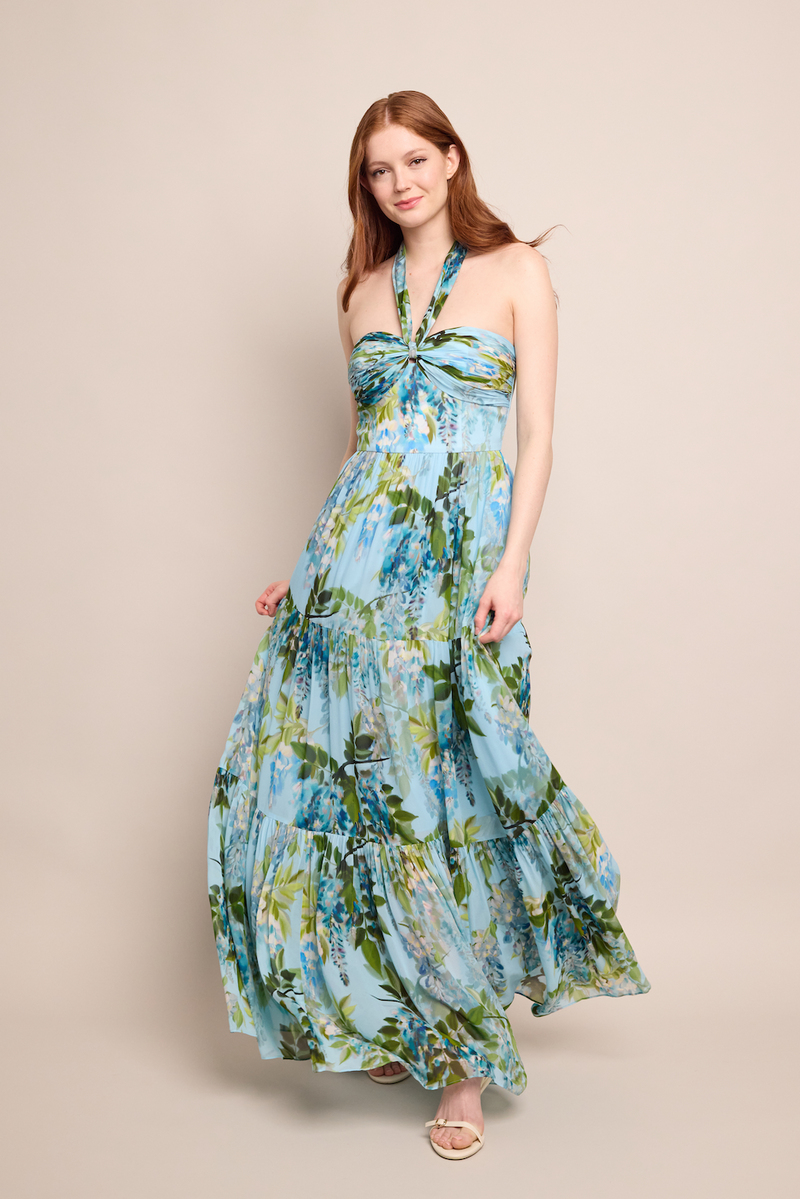Piana Maxi Dress