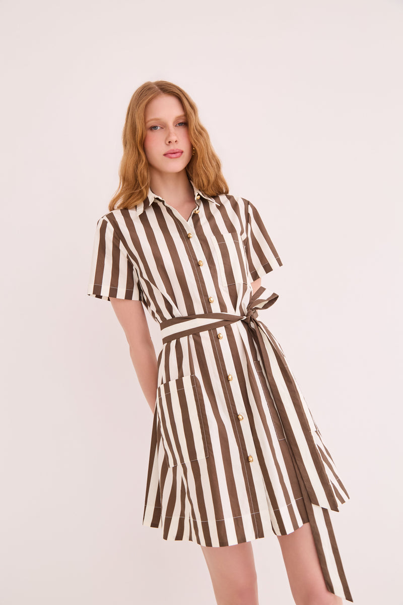 Cara Cara Lagos Dress in Brown Ivory Stripe - Model 1