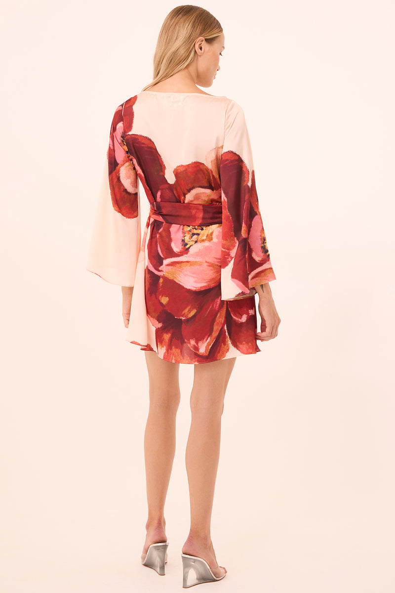 TWIGGY DRESS