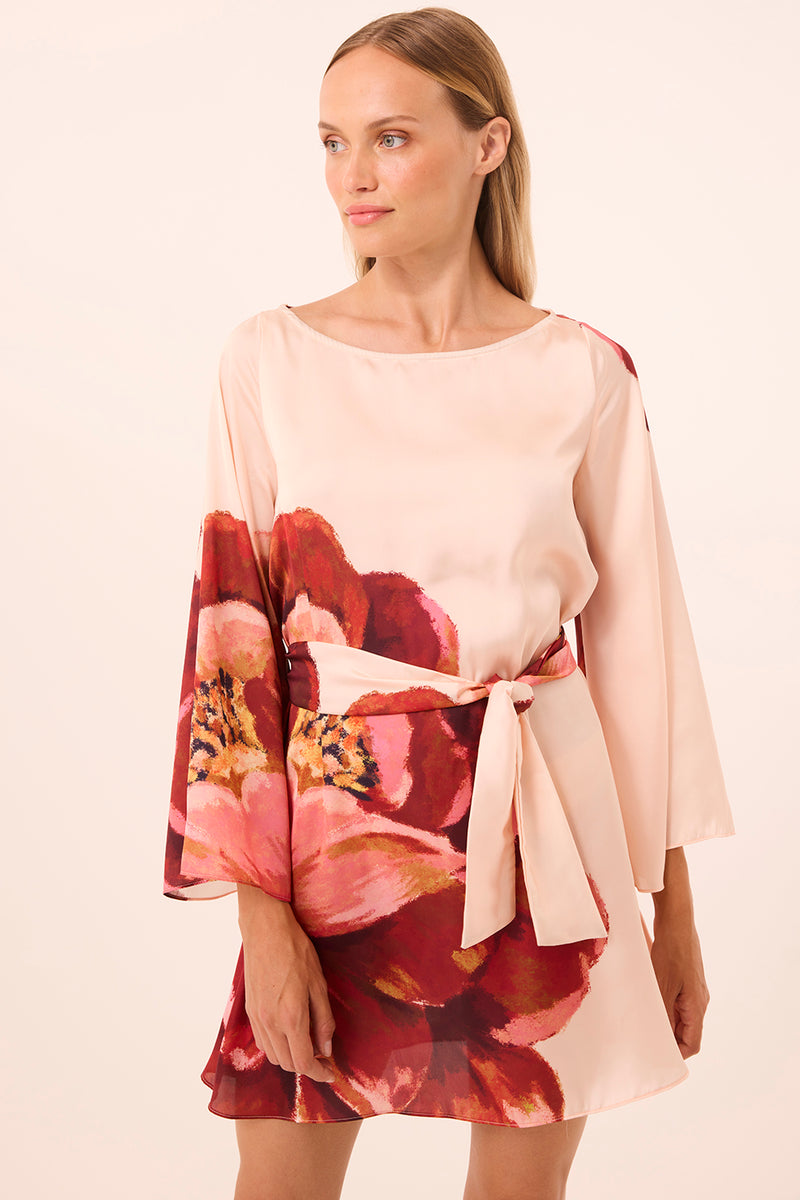 TWIGGY DRESS