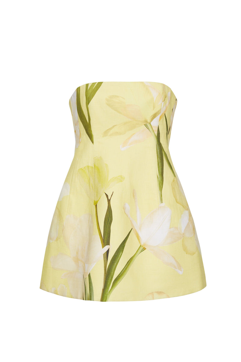 Cara Cara - Ines Mini Dress - Lillian Lemon