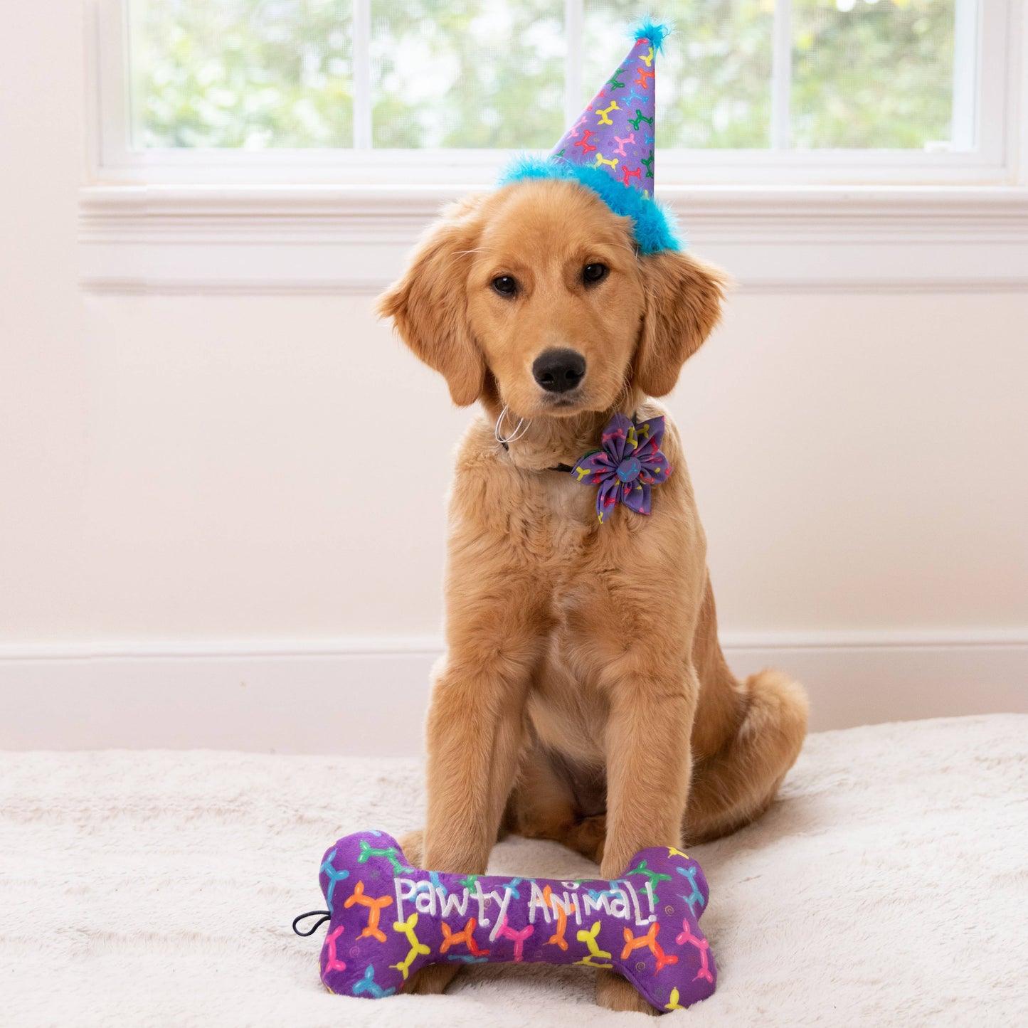 H&K Party Hat Balloon Doggy with SnugFit®: LG