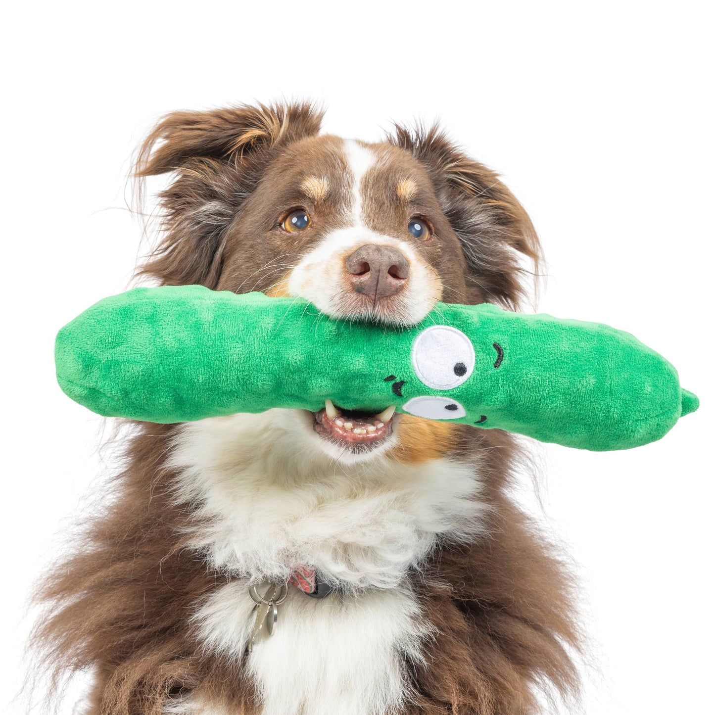 Dill Pickle Dog Toy