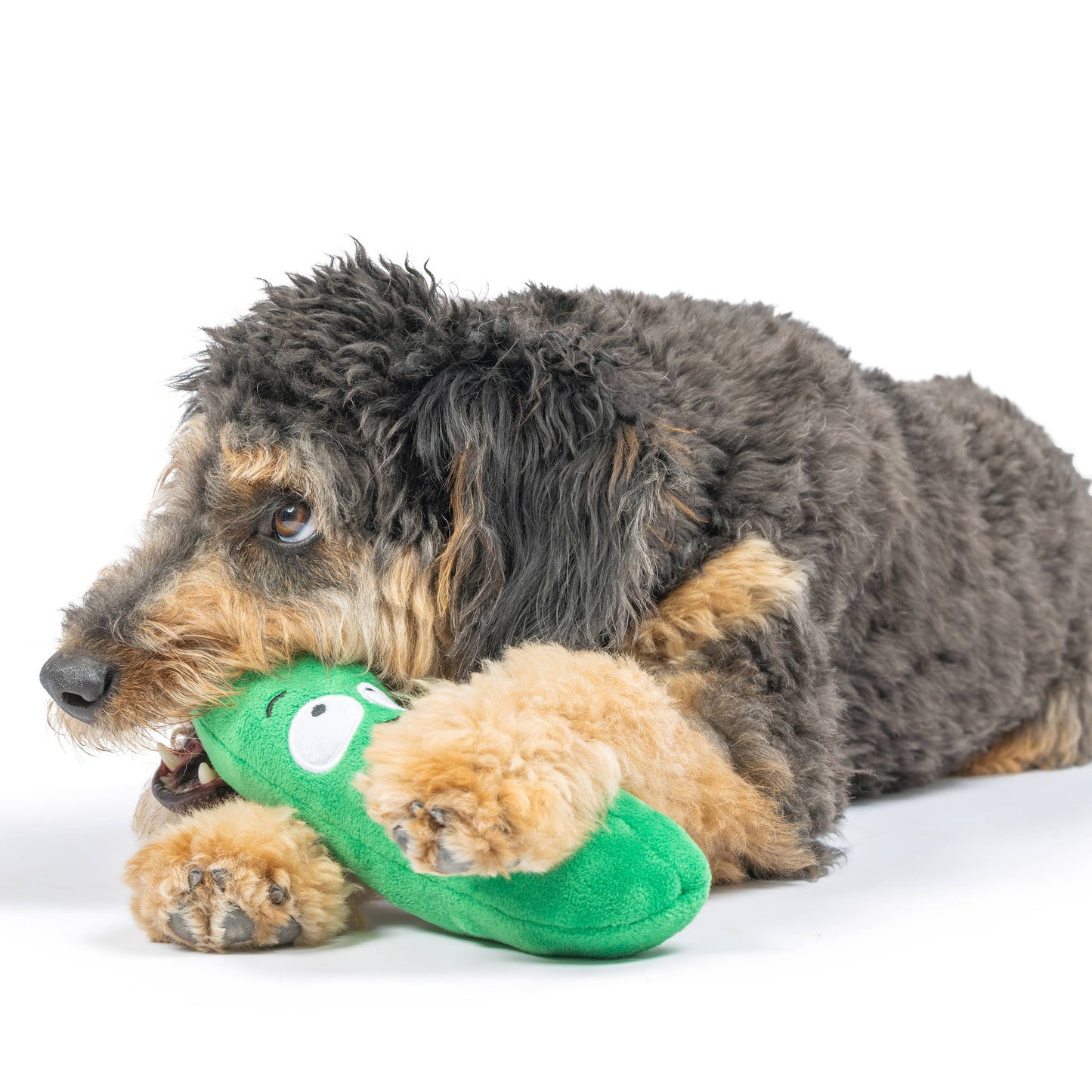 Dill Pickle Dog Toy