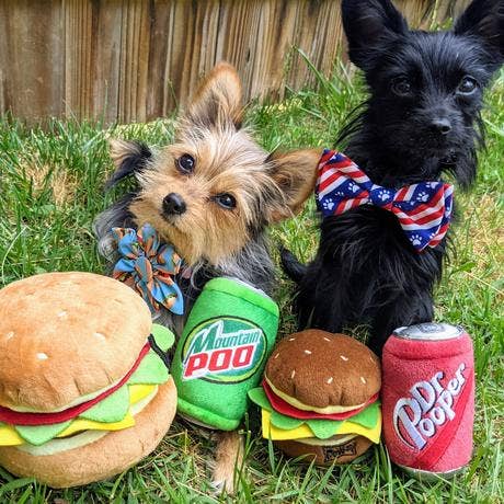 Huxley & Kent - Dr Pooper Dog Toy