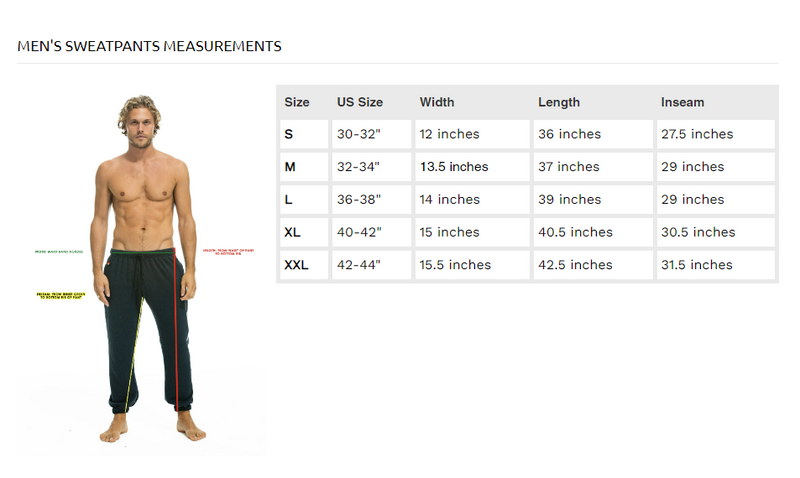 Aviator Nation - 5 Stripe Men's Sweatpants - Heather Grey // Blue