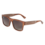 Johnny Fly - Arrow Sunglasses
