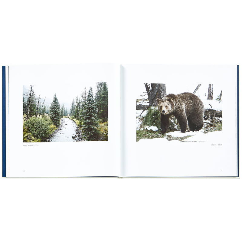 Yellowstone: A Land of Wild and Wonder