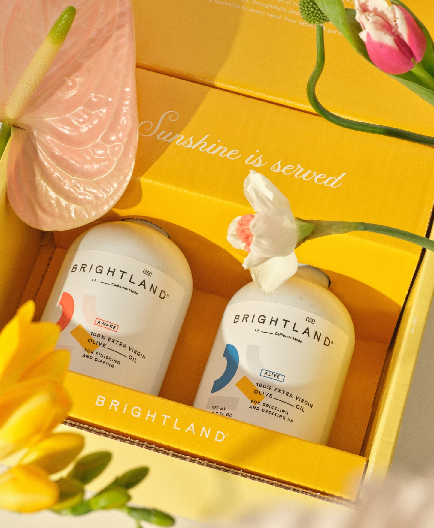 The Duo Olive Oil Gift Box