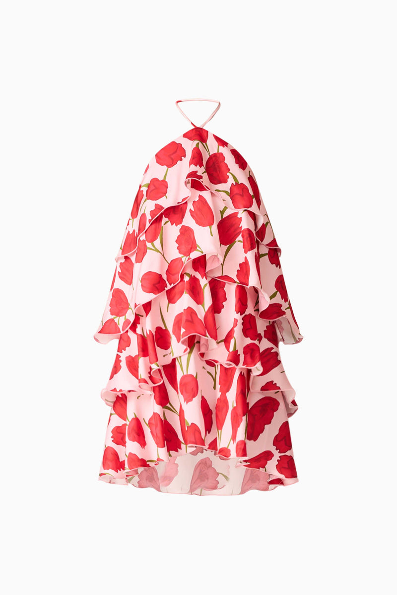 Elliatt - Melia Halter Mini Dress - Pink & Red Floral