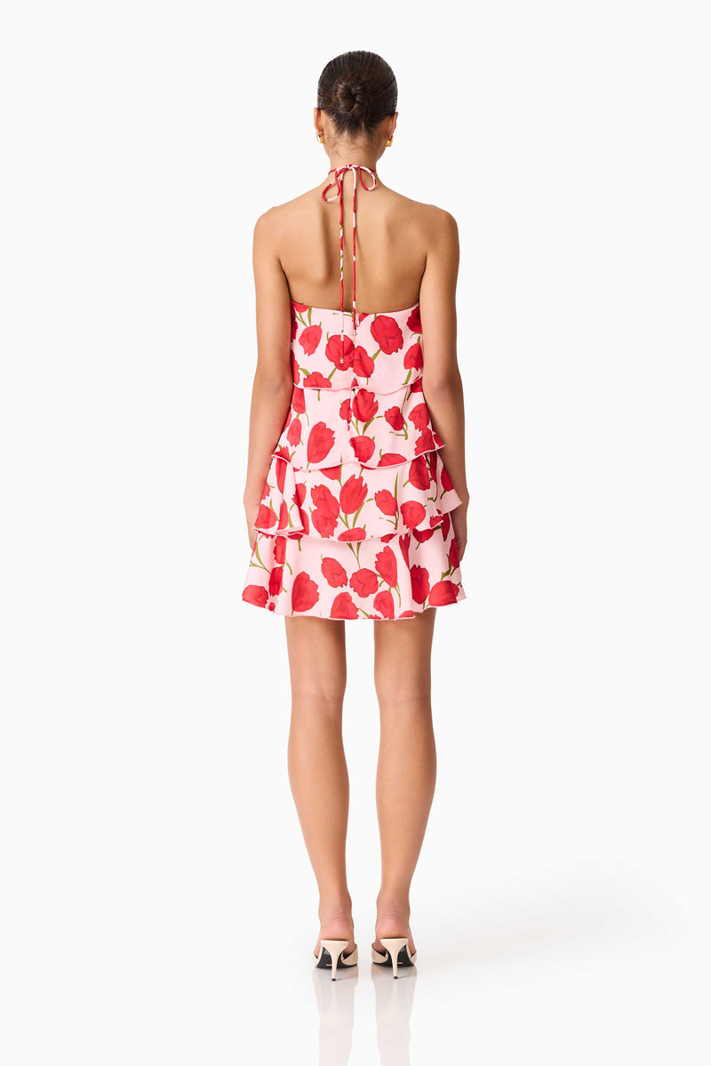 Elliatt - Melia Halter Mini Dress - Pink & Red Floral