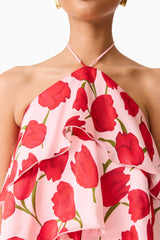 Elliatt - Melia Halter Mini Dress - Pink & Red Floral