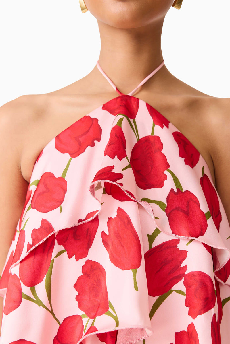 Elliatt - Melia Halter Mini Dress - Pink & Red Floral