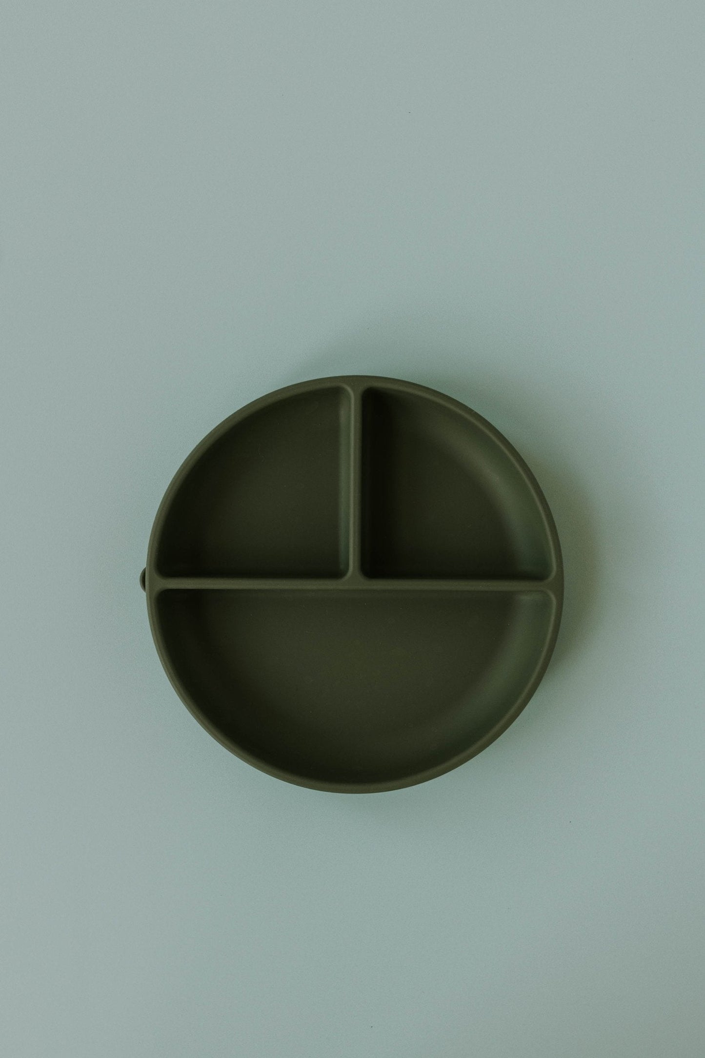 Evri - Silicone Divider Plate - Evergreen