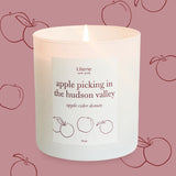 Apple Picking in the Hudson Valley