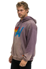 Aviator Nation - Vintage Logo Relaxed Pullover Hoodie - Faded Mocha
