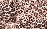 Cara Cara - Aisha Skirt - Abstract Cheetah Ivory