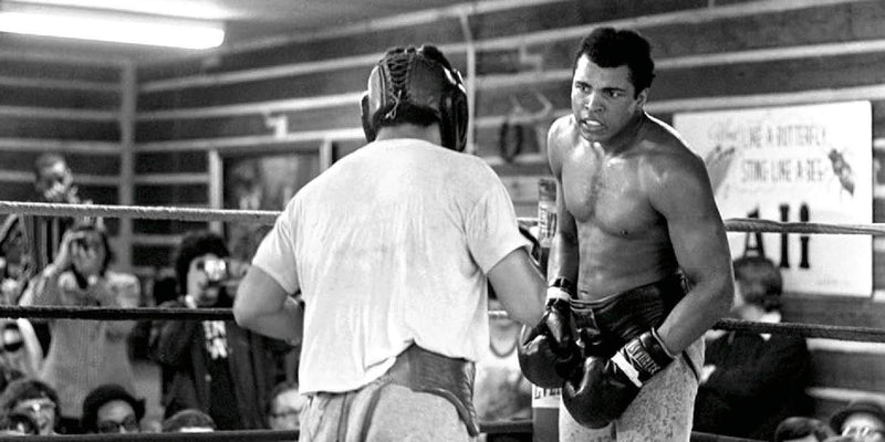 They Must Fall: Muhammad Ali and the Men He Fought