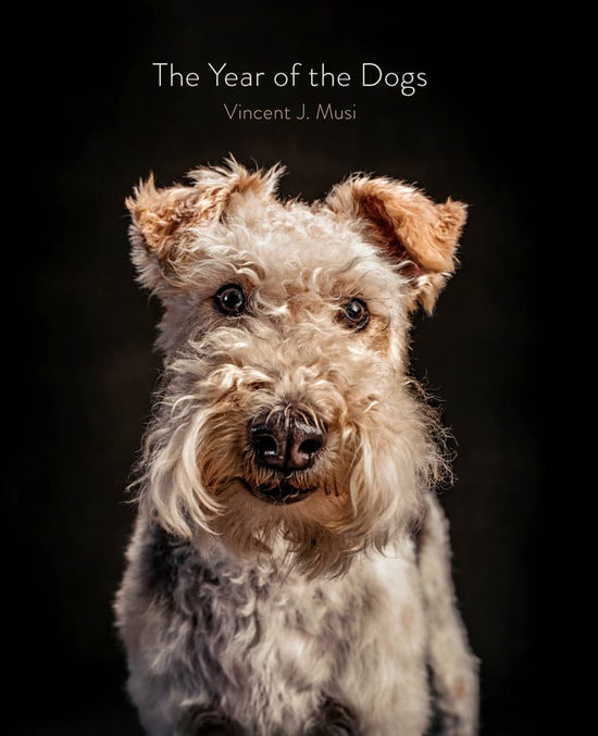 Load image into Gallery viewer, The Year of the Dogs
