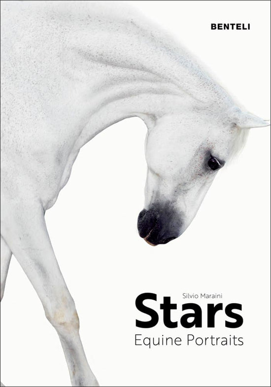 Load image into Gallery viewer, Star Equine Portraits
