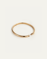 Jenny Bird - Remi Bangle - High Polish Gold