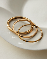 Jenny Bird - Remi Bangle - High Polish Gold