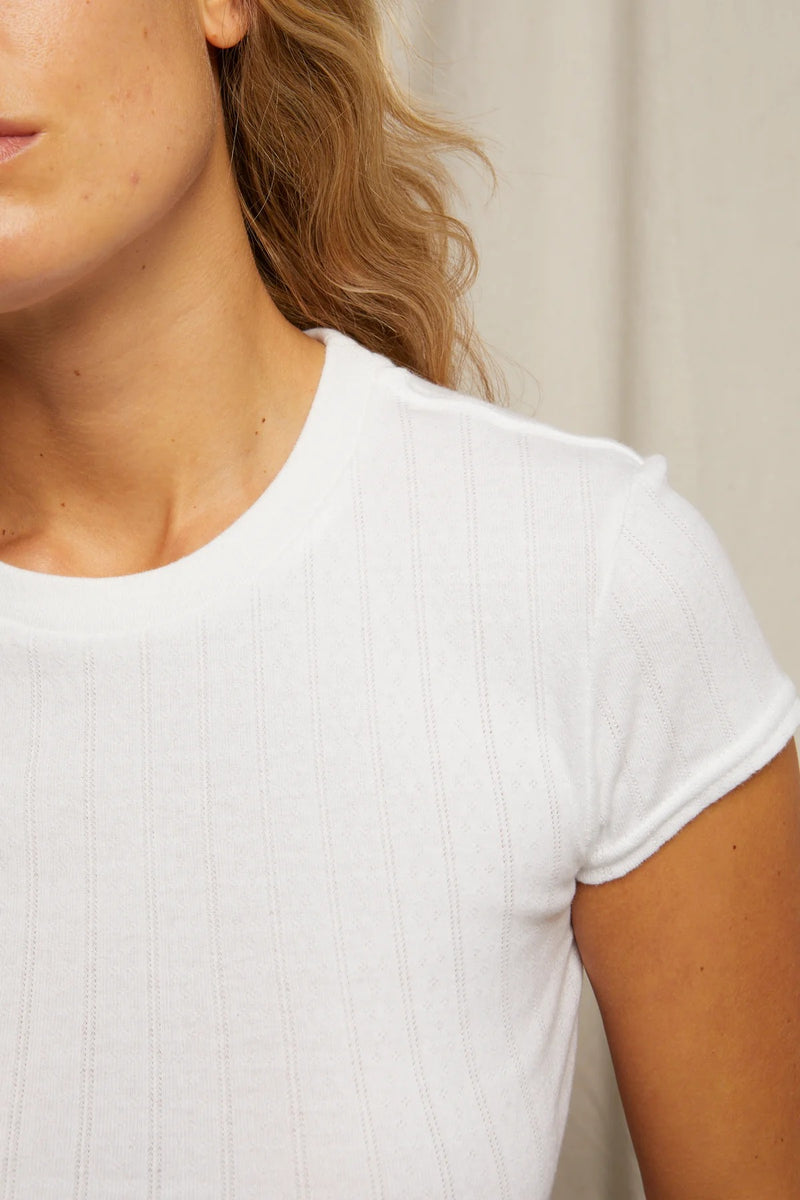 PerfectWhiteTee - Jude Pointelle Rib Crew Tee - White