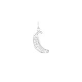Nano Silver 'Neurospicy' Pepper Pendant