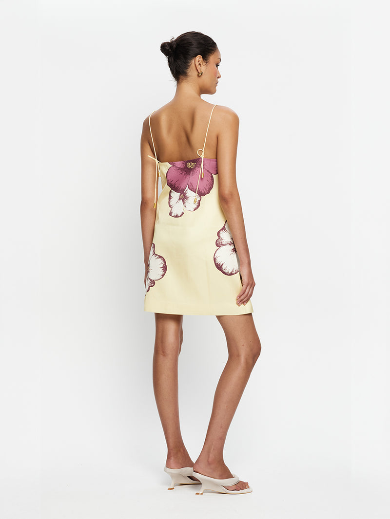 Paros Mini Dress