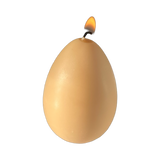 Egg Candles - 6 Pack Box