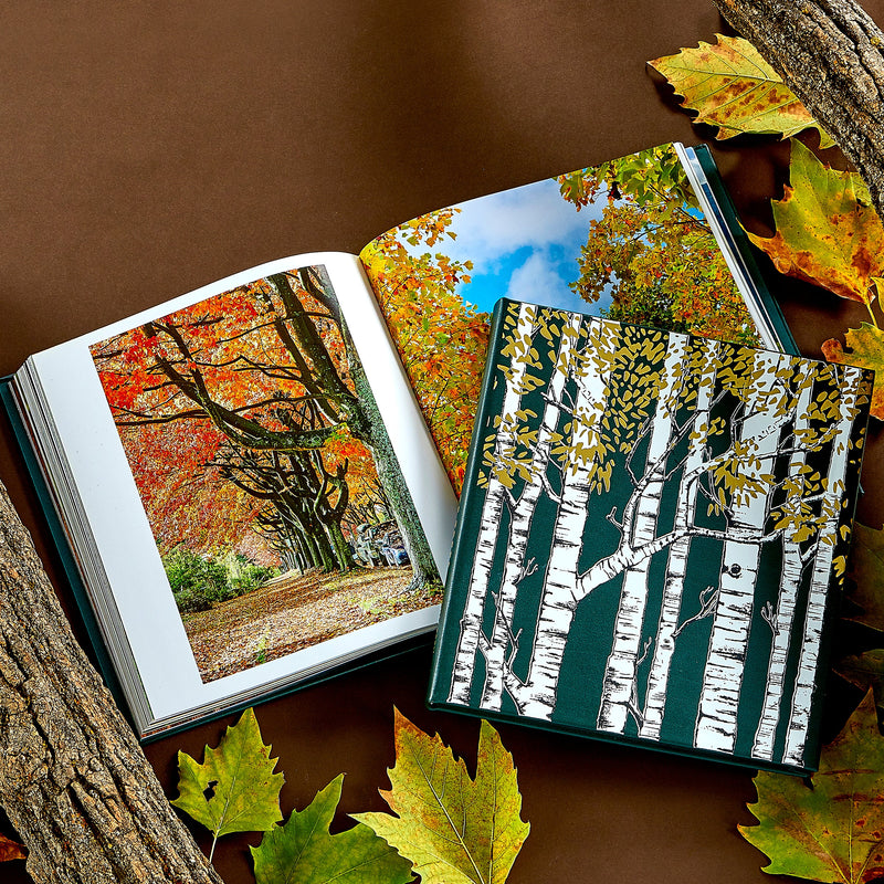 The Hidden Life of Trees