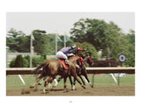Schiffer Publishing - Horse Racing: Photography by Arthur Frank