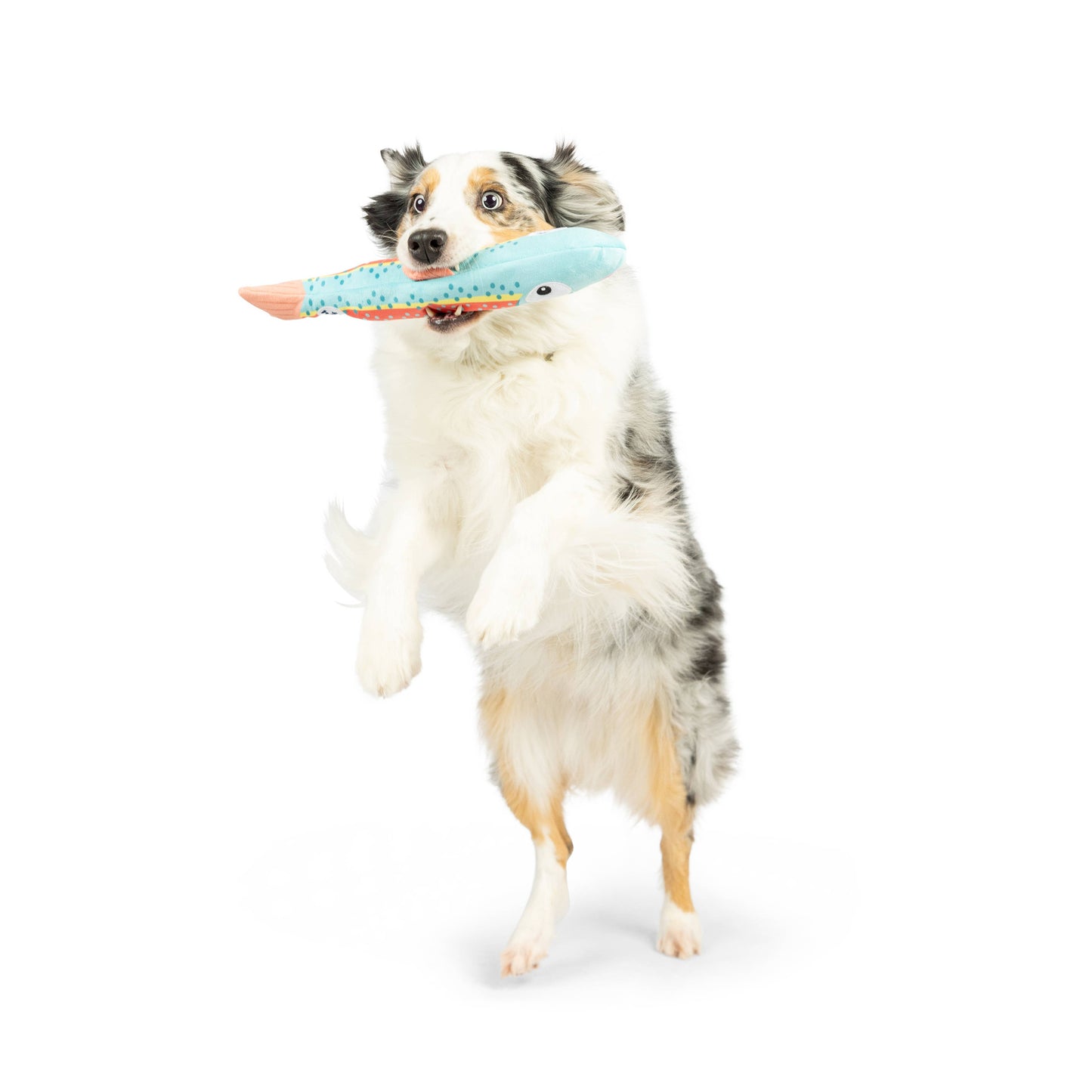 Huxley & Kent - Fetchies® Travis Trout Dog Toy