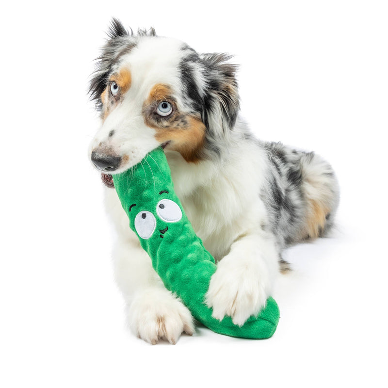 Dill Pickle Dog Toy