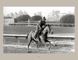Schiffer Publishing - Horse Racing: Photography by Arthur Frank