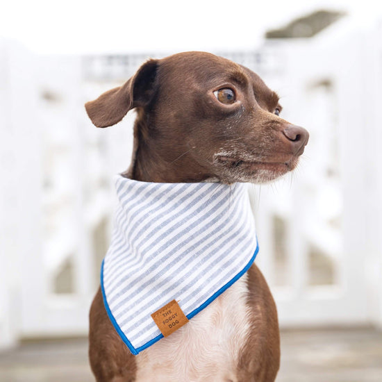 Dusty Blue Stripe Dog Bandana, Large