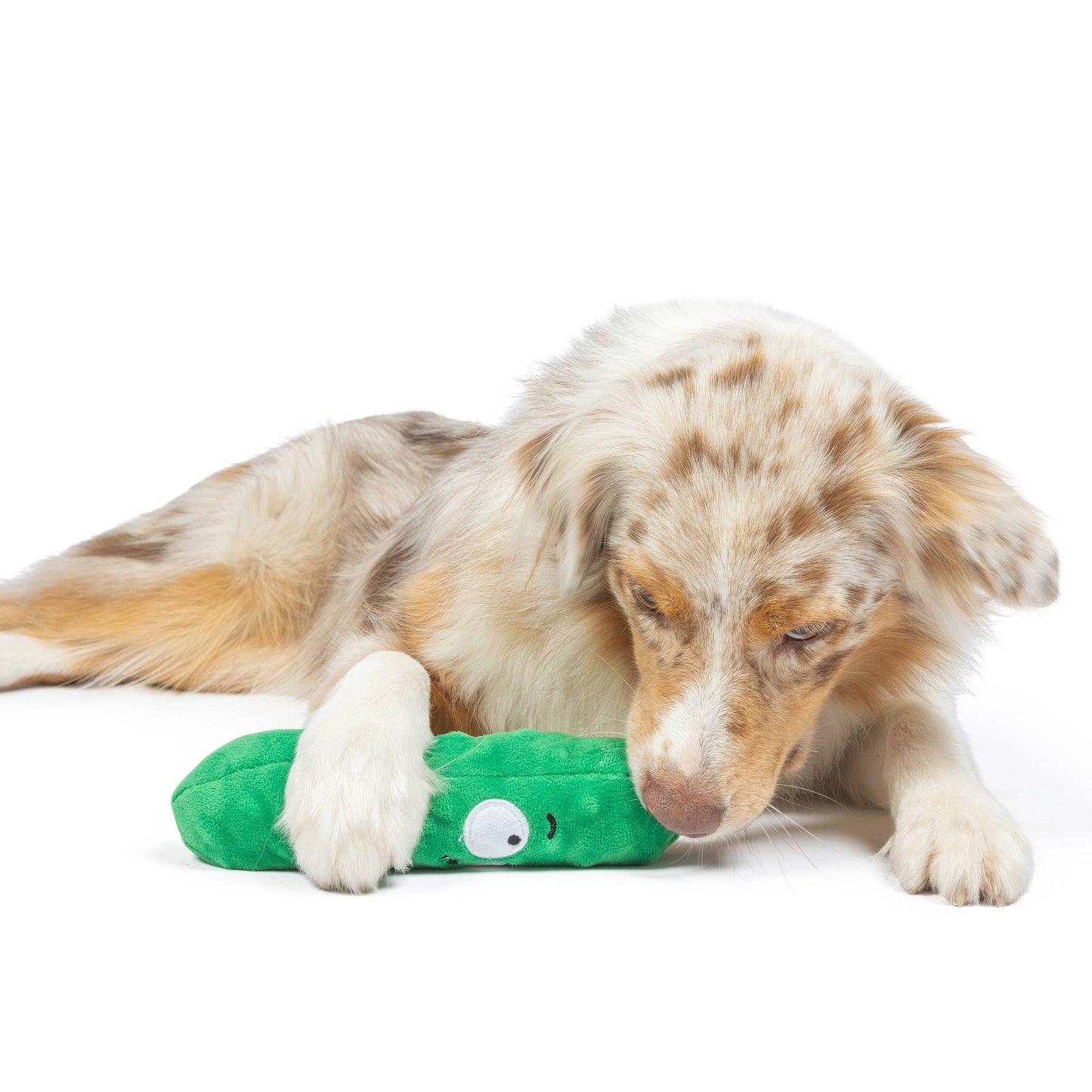Dill Pickle Dog Toy