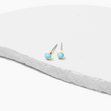 Mini Celeste Stud Earrings