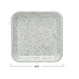 Enameled Metal Splatterware Platter