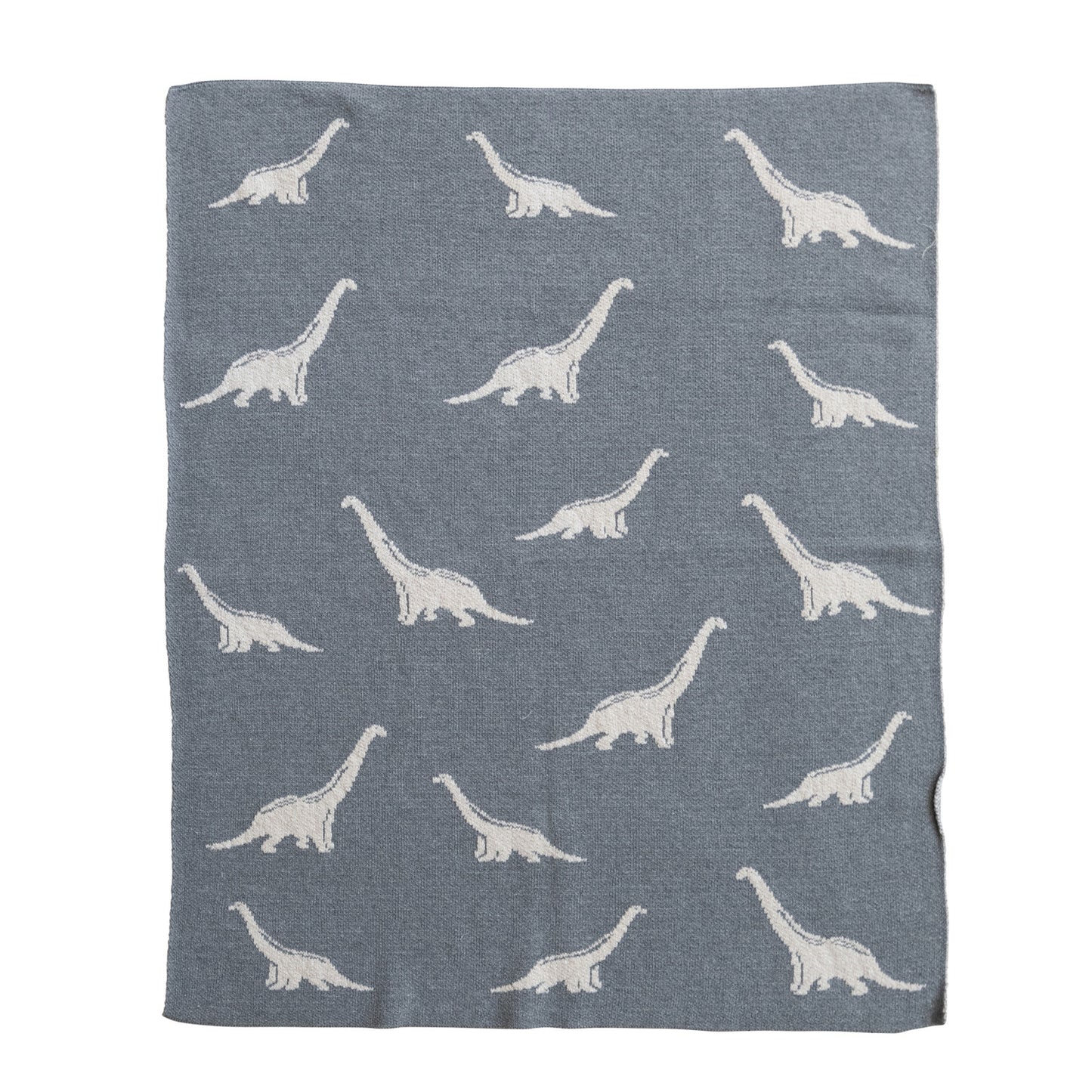 Cotton Knit Baby Blanket w/ Dinosaurs
