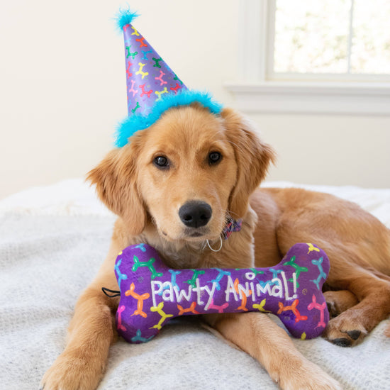 H&K Party Hat Balloon Doggy with SnugFit®: LG