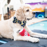 Huxley & Kent - Dr Pooper Dog Toy
