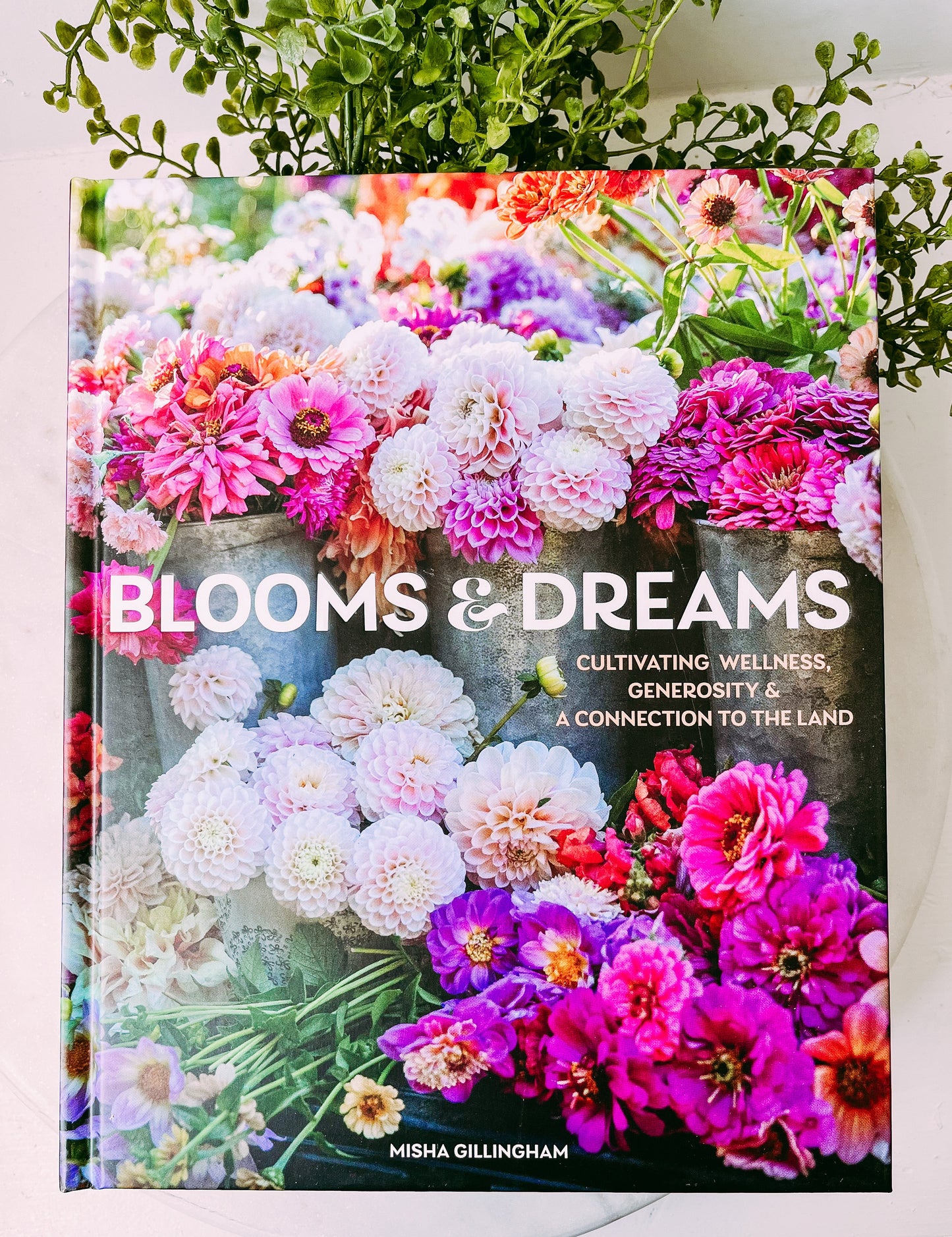 Blooms & Dreams