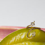 Life Won't Wait Ring