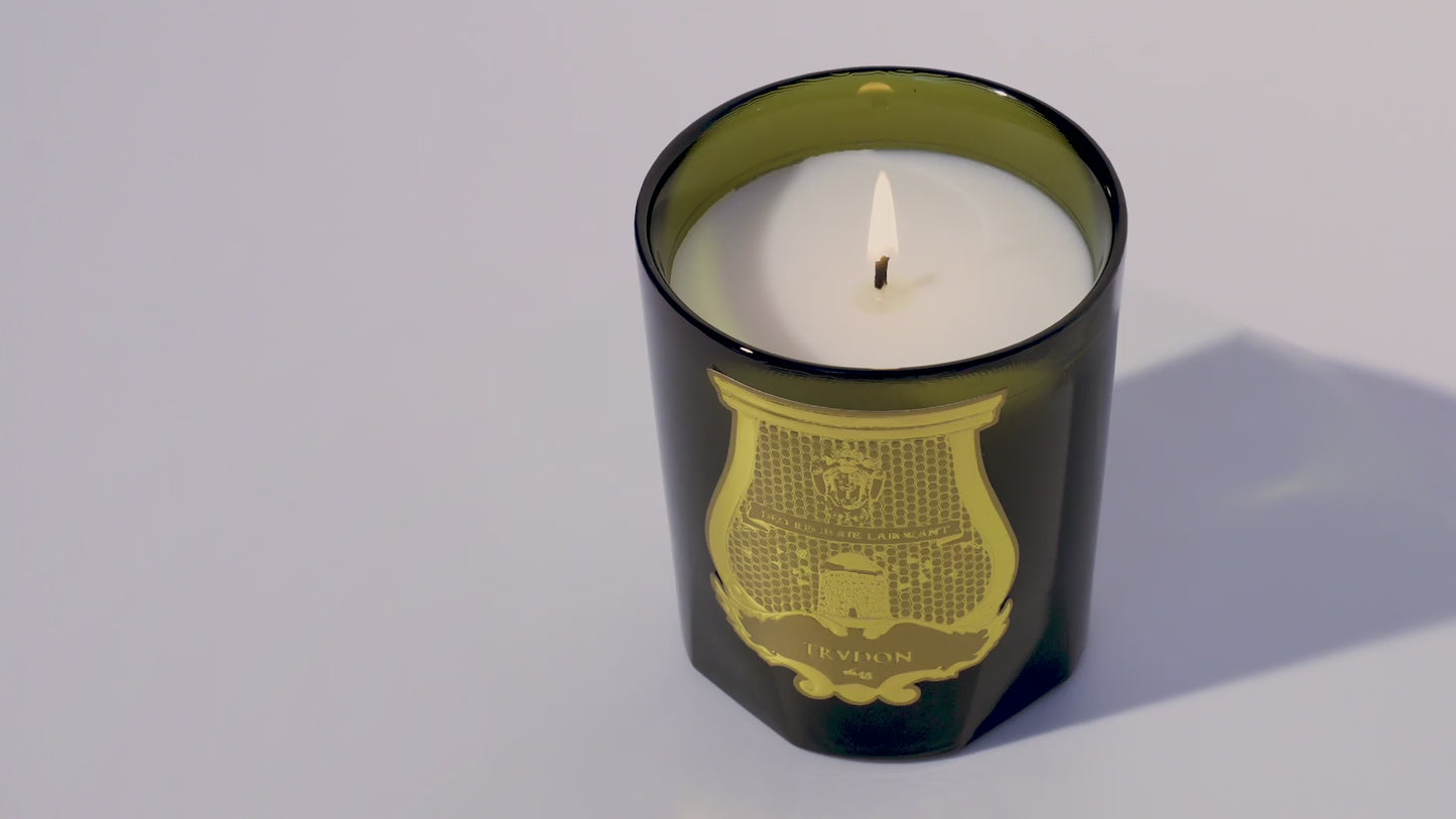 Load and play video in Gallery viewer, Trudon - Abd El Kader Classic Scented Candle
