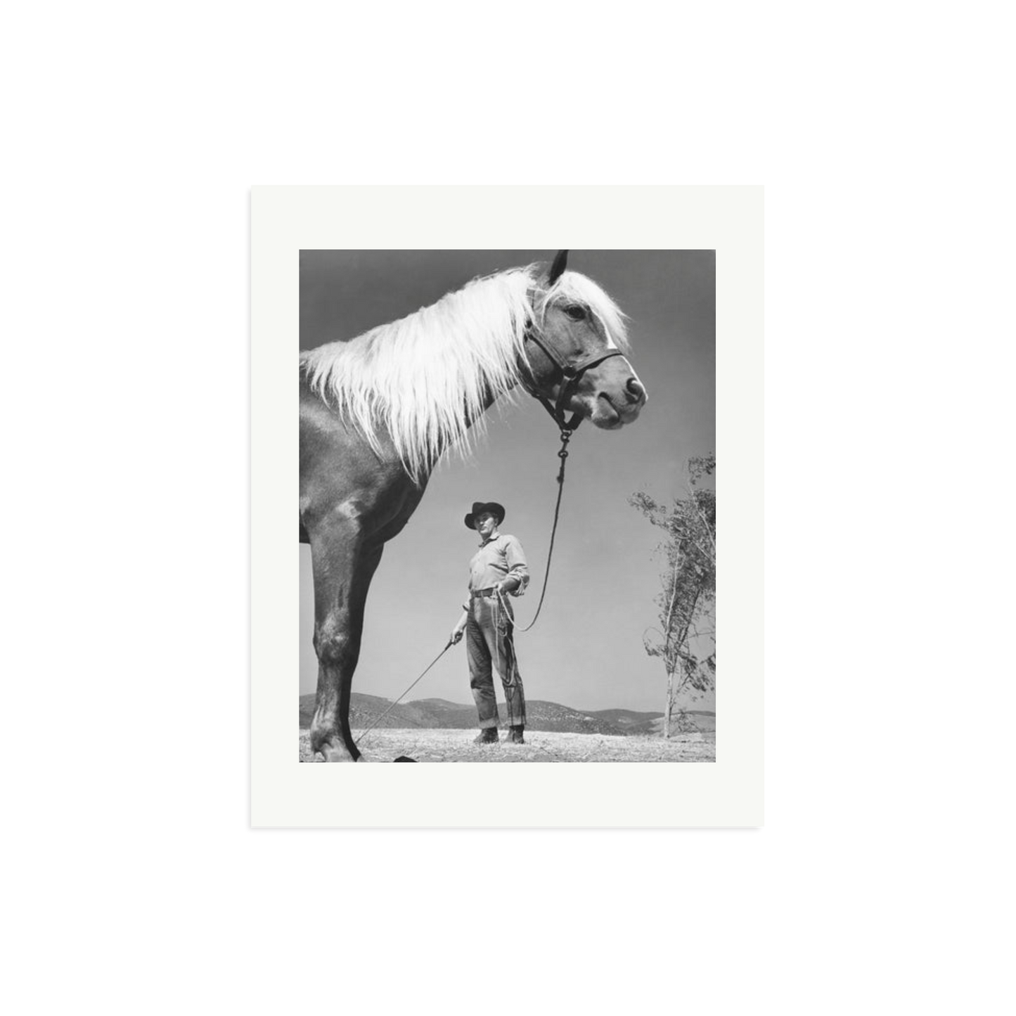 Robert Mitchum - 'The Red Pony'