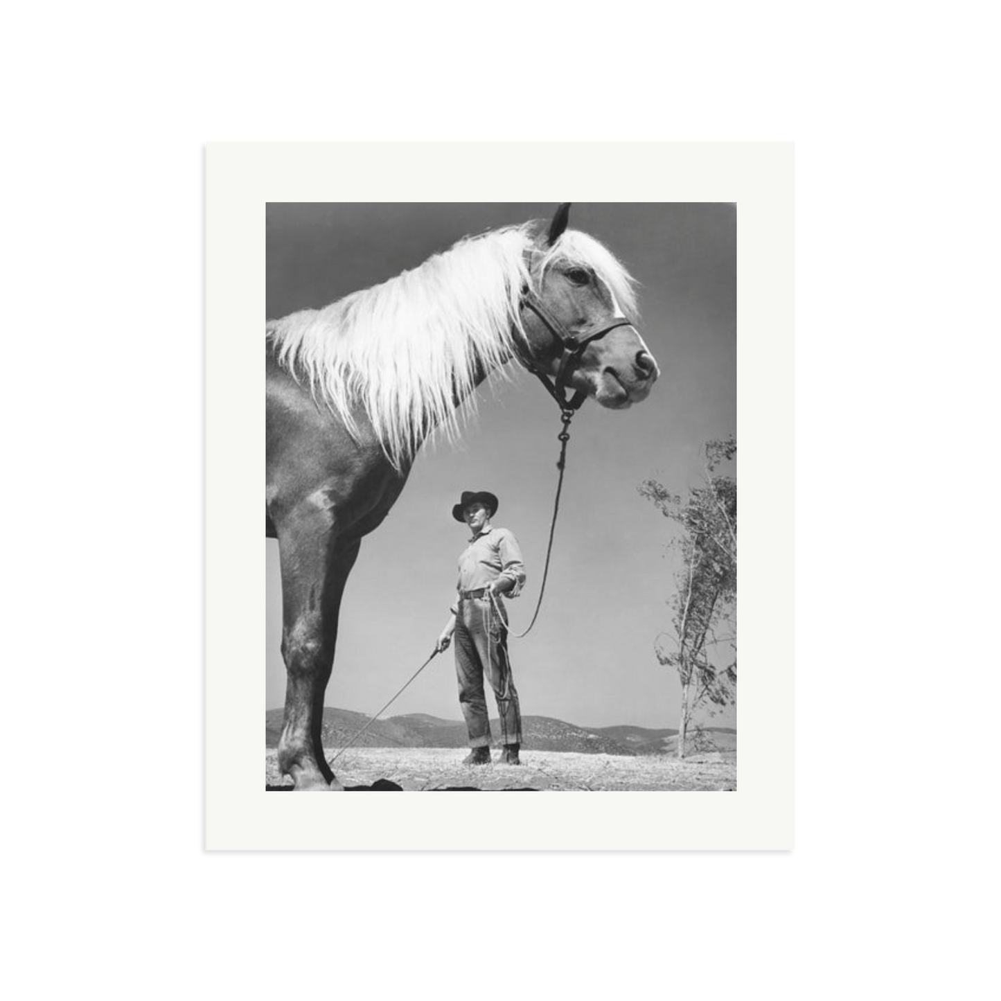 Robert Mitchum - 'The Red Pony'