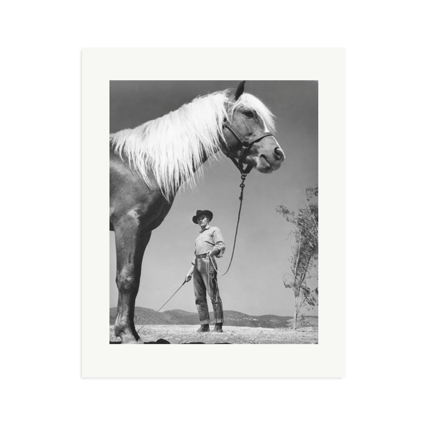 Robert Mitchum - 'The Red Pony'